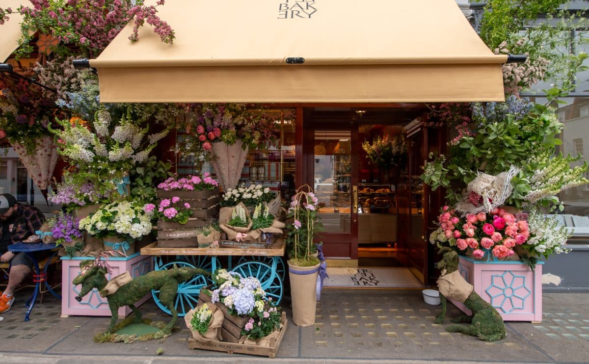 In-Store Private Appointment (East Village) – Azaleas