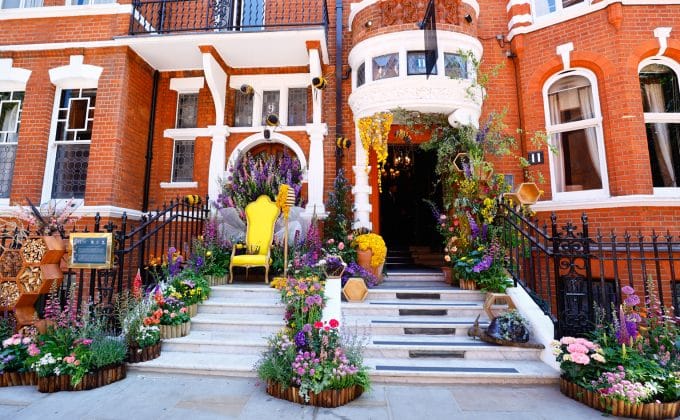 Chelsea in Bloom