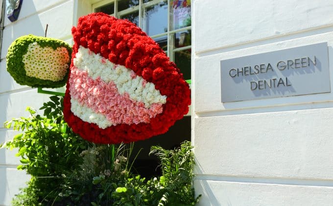 Chelsea in Bloom